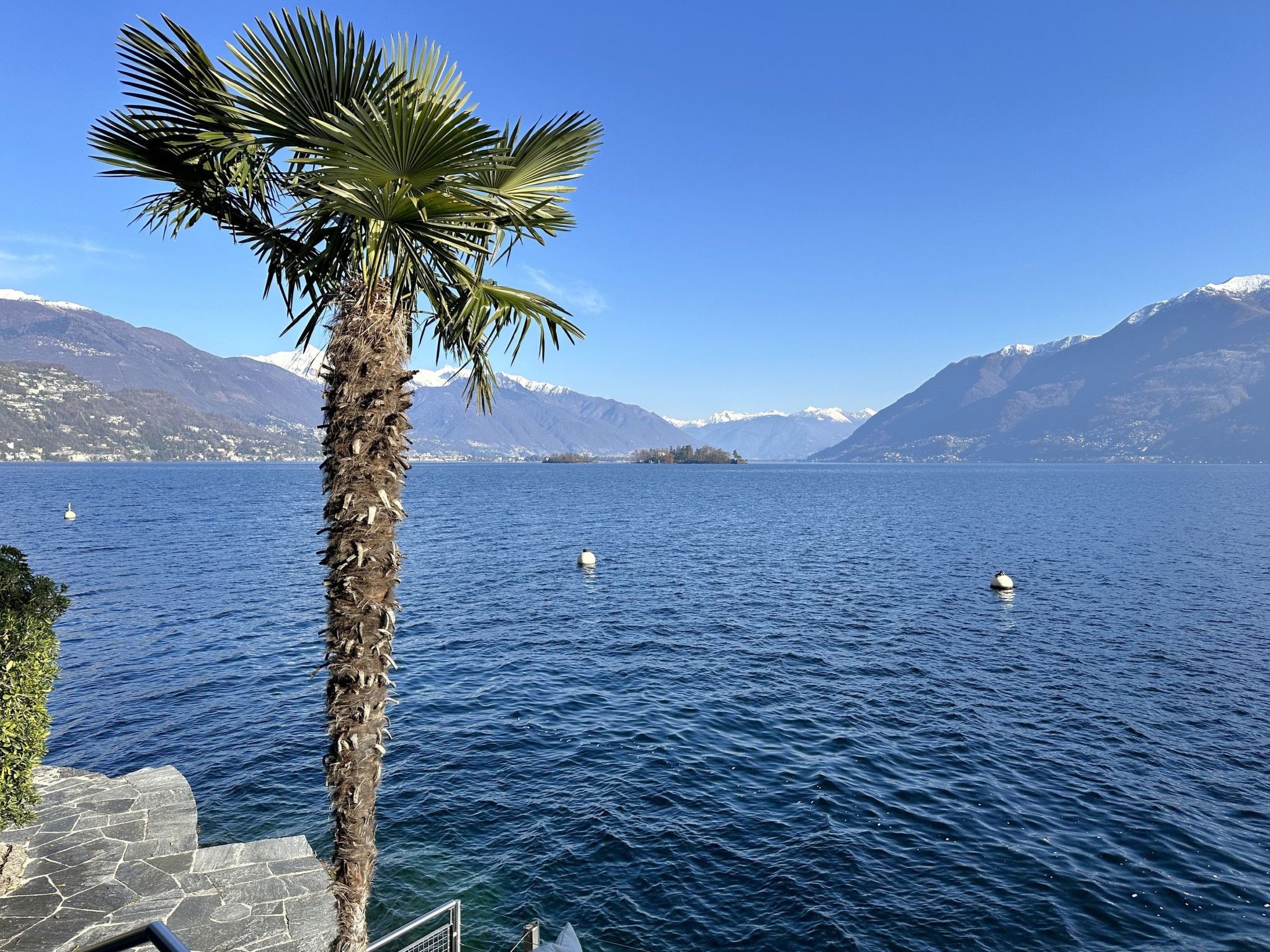 Residenza Delphin - Image-tags.info