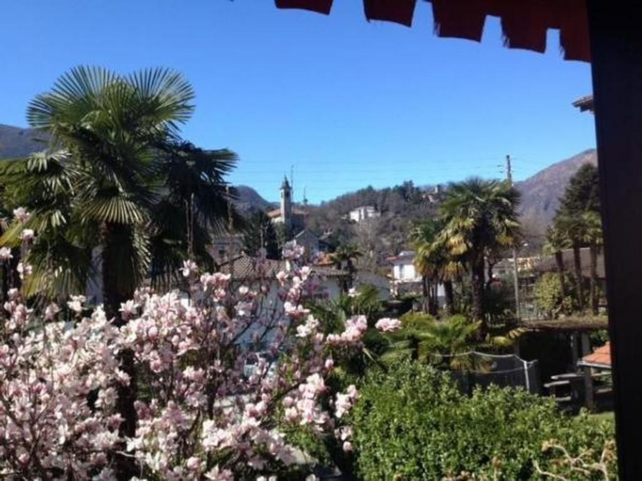 Ferienhaus in Losone (Schweiz) und 1 Hund erlaubt