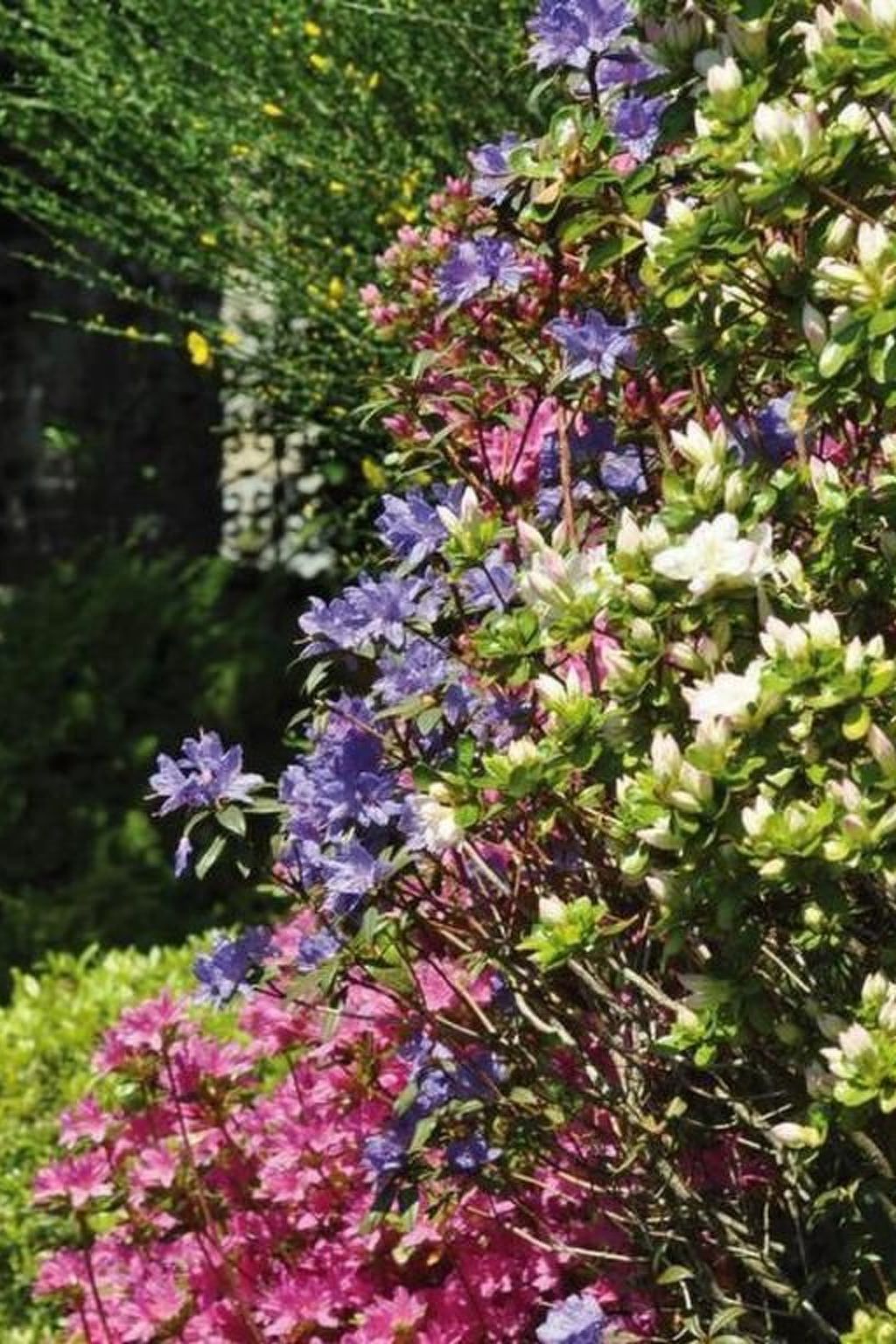 Villa Cresta Bianca-Binnen