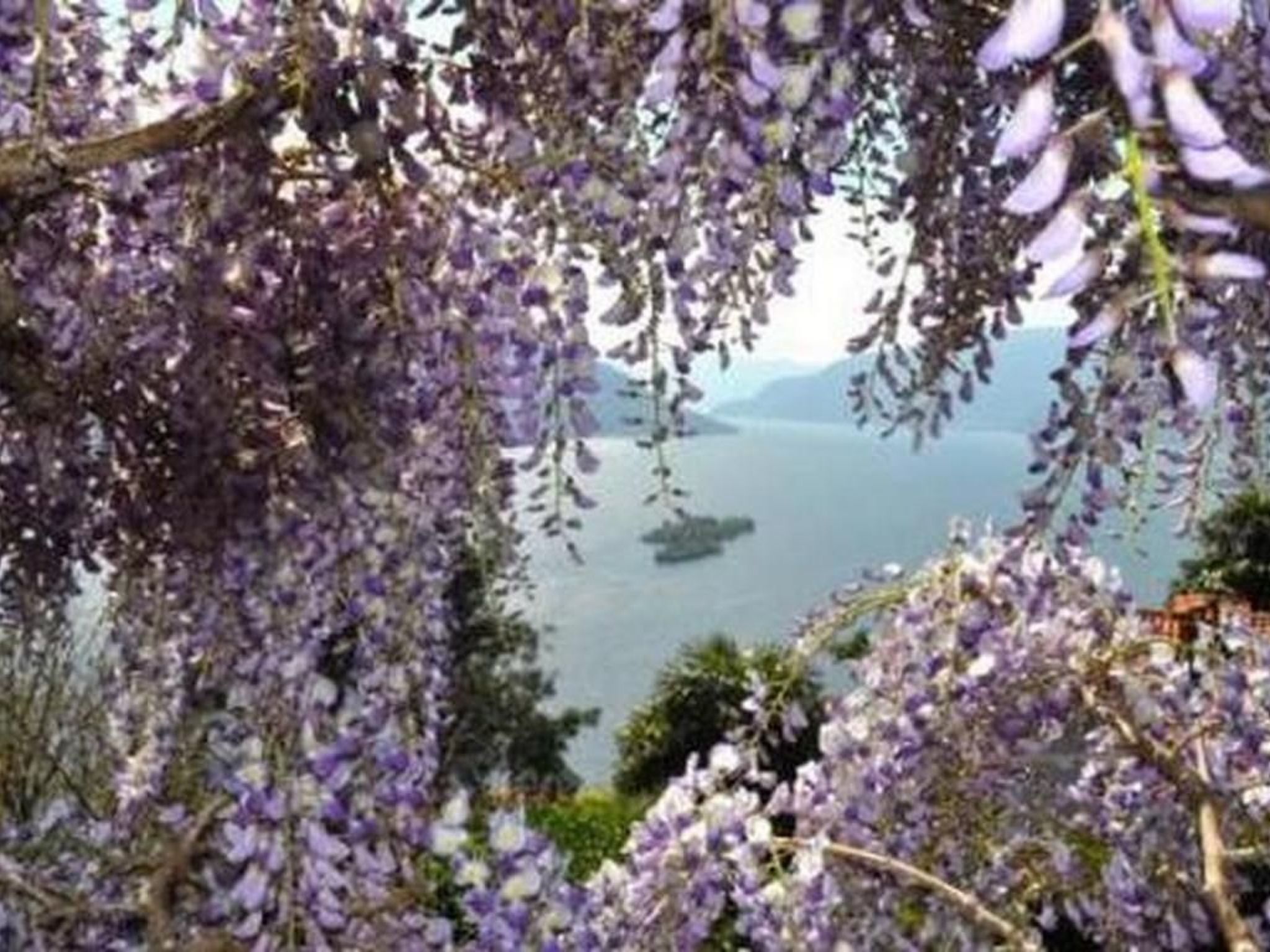 Villa Cresta Bianca-Binnen