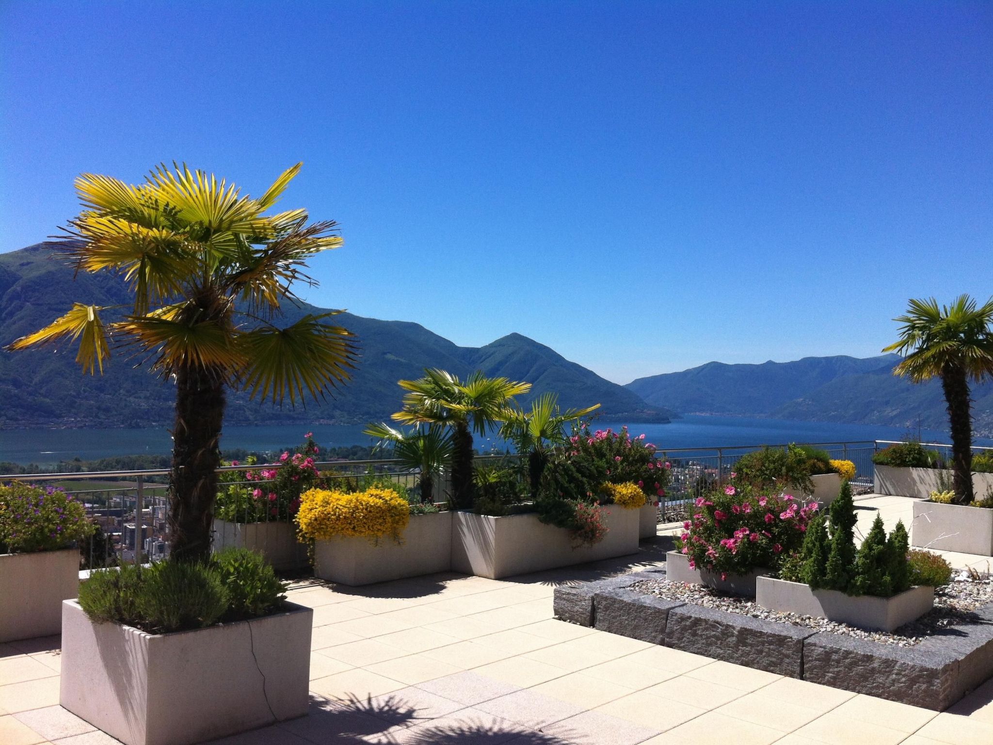 Collina d'Oro App. C14