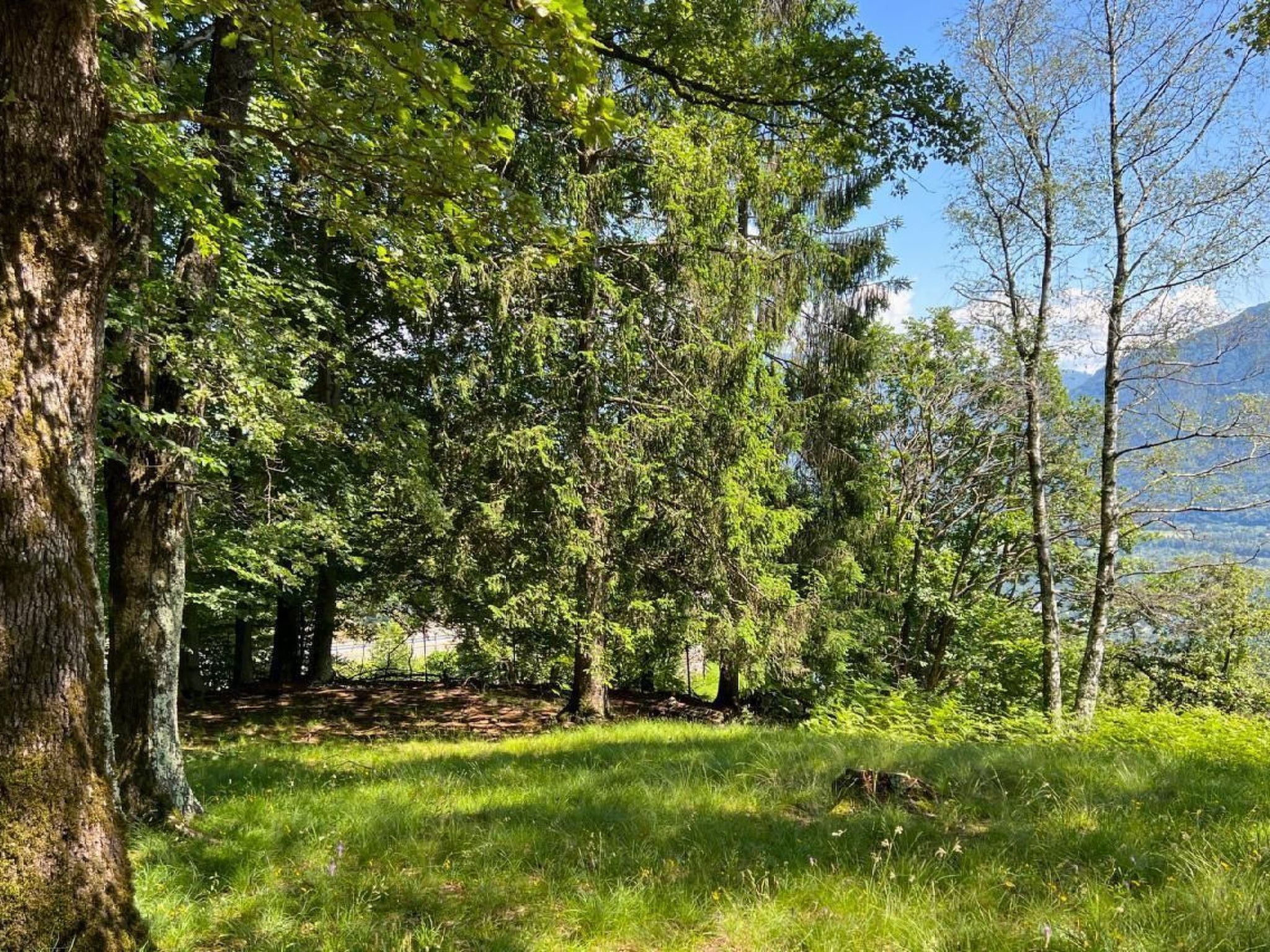 Rustico Eremo Rico-Image-tags.info