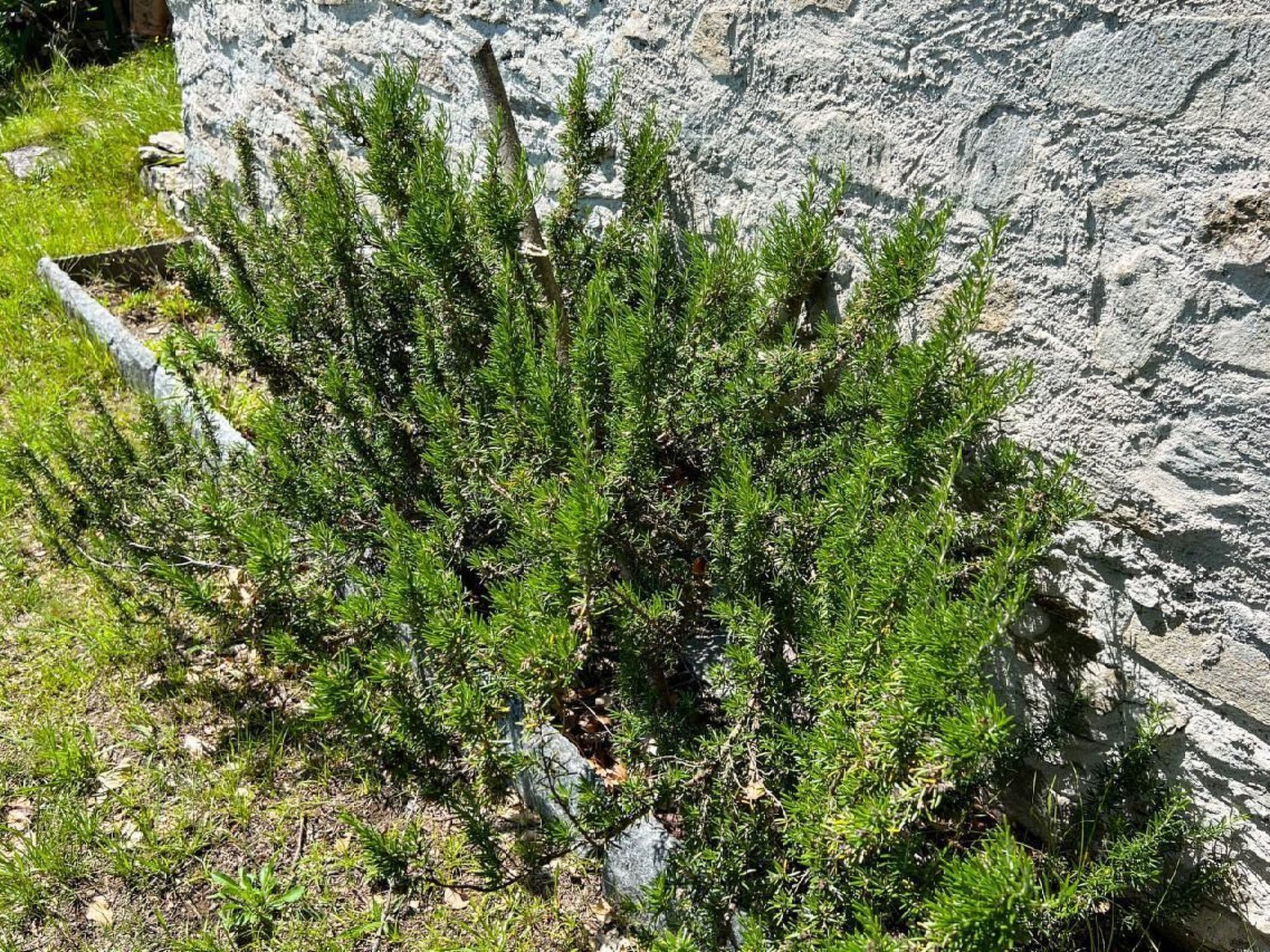 Rustico Eremo Rico-Image-tags.info