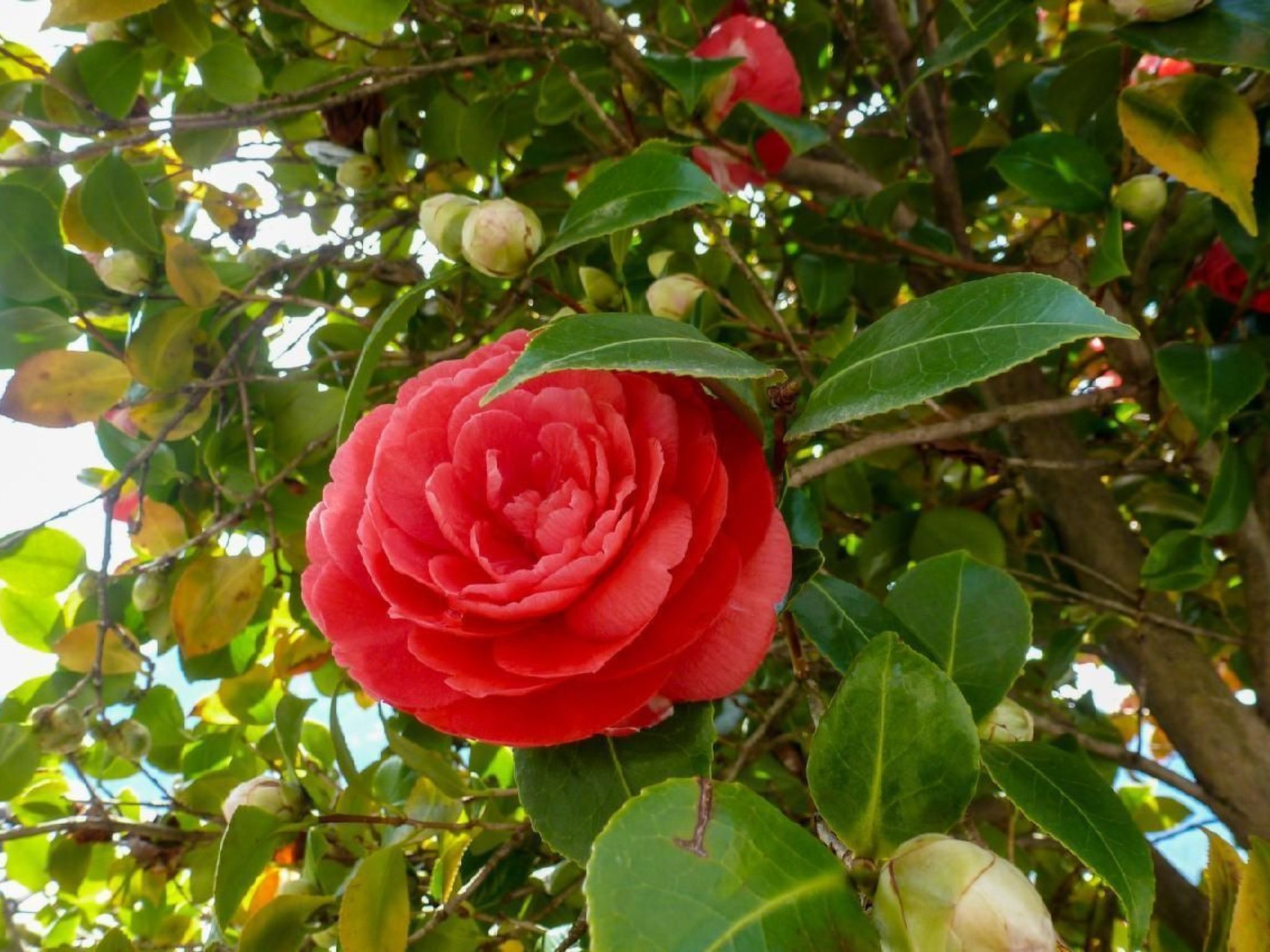 Casa Riale unten-Image-tags.info