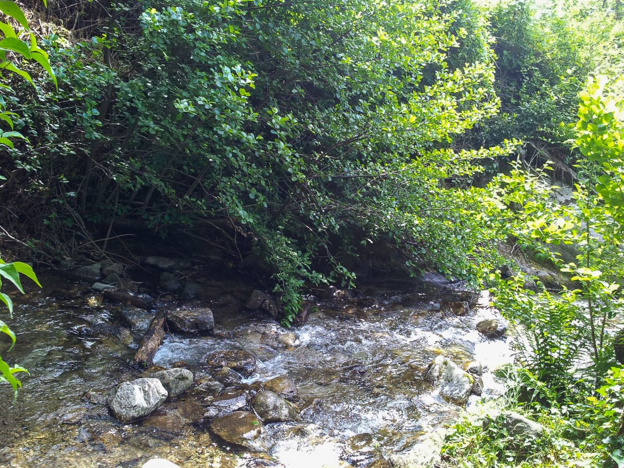 Casa Riale oben-Image-tags.info