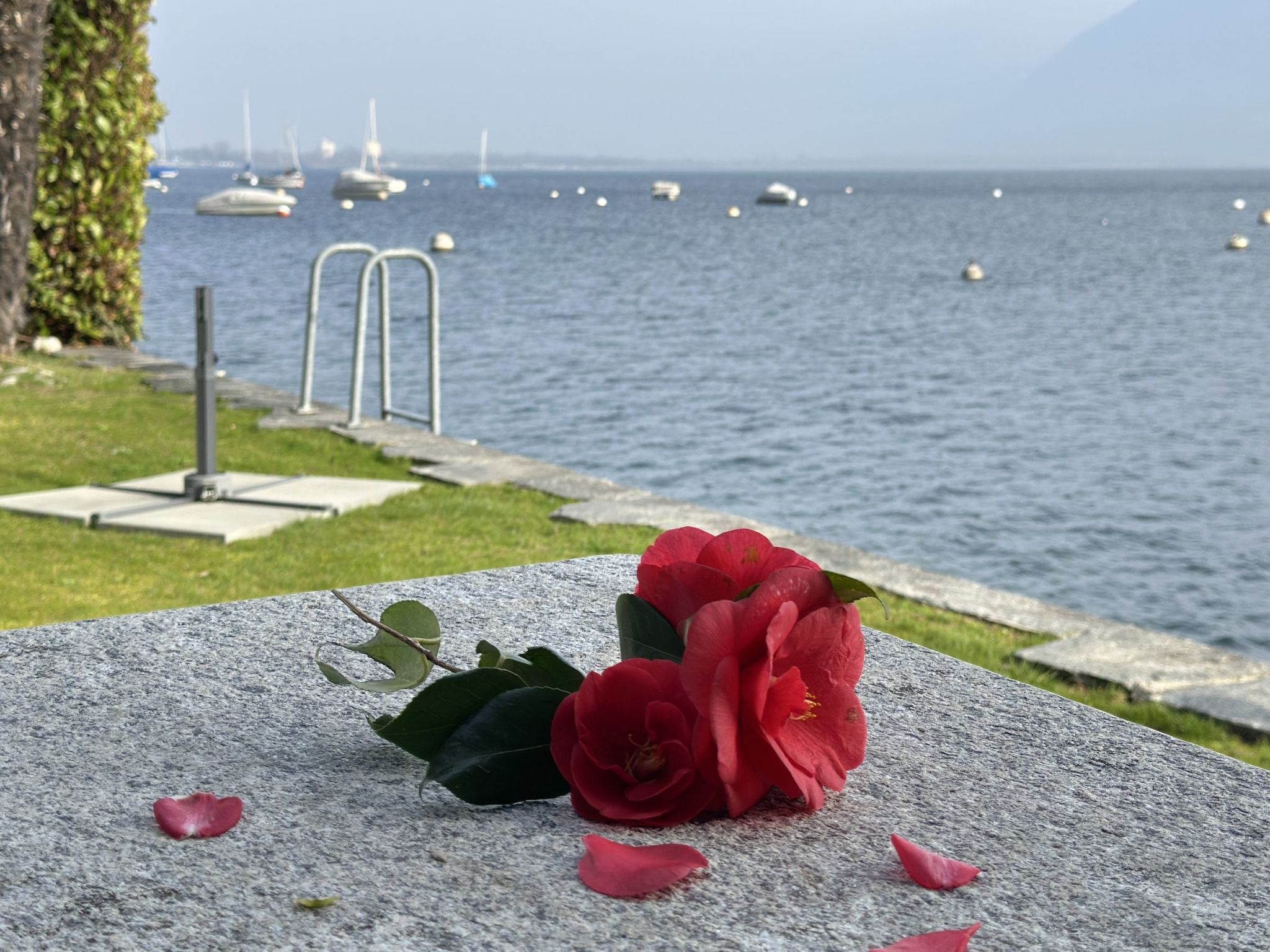 Villa Genovese - Image-tags.info