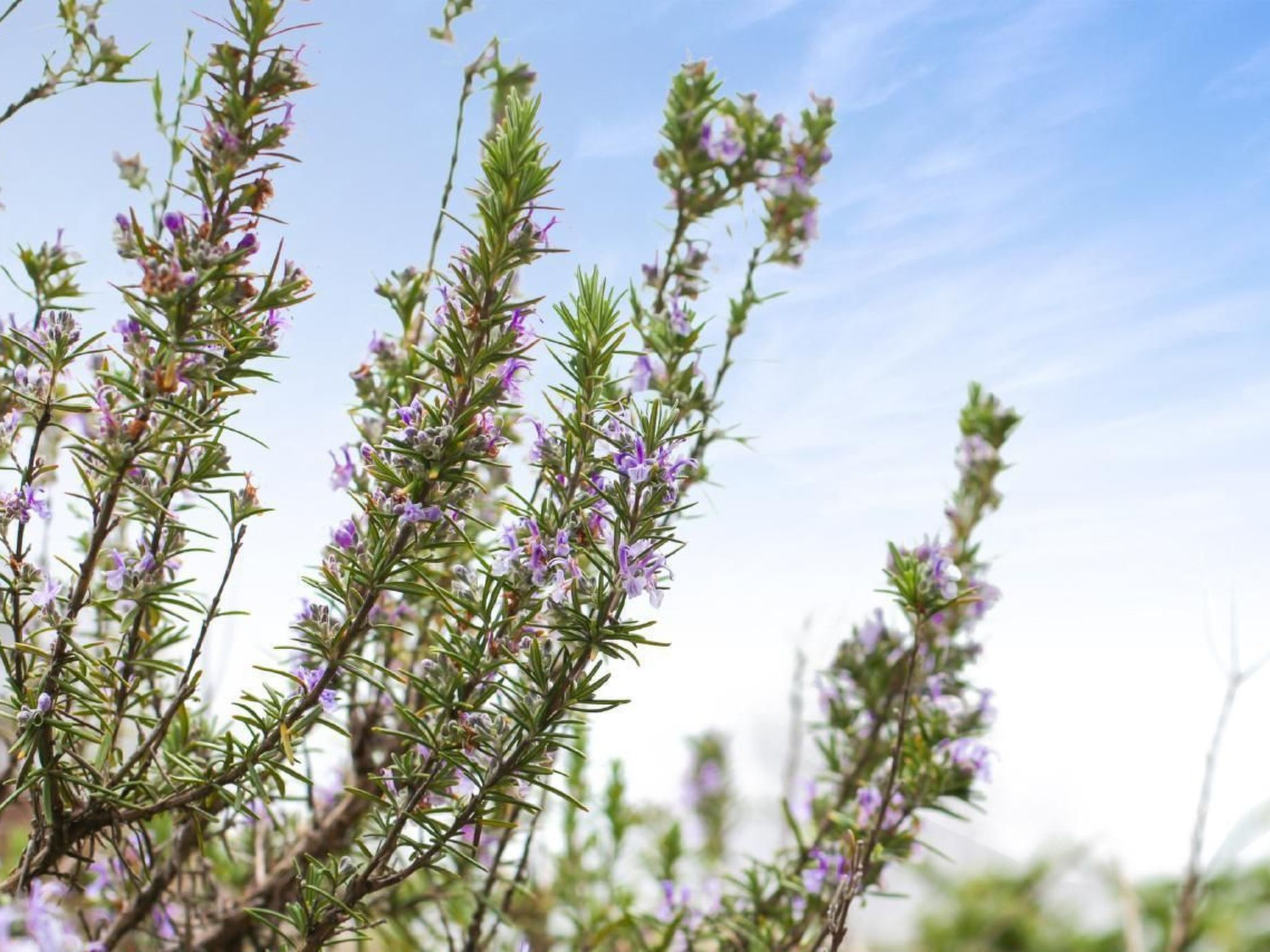 Traumhaftes Tessiner Haus mit Weitblick-Image-tags.info