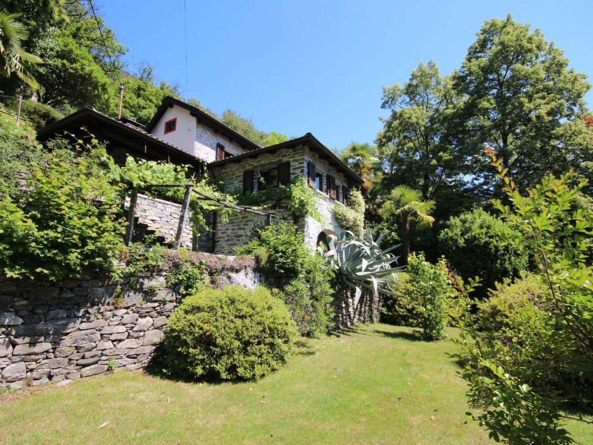 Charmantes Tessiner Haus mit absoluter Privatsphäre