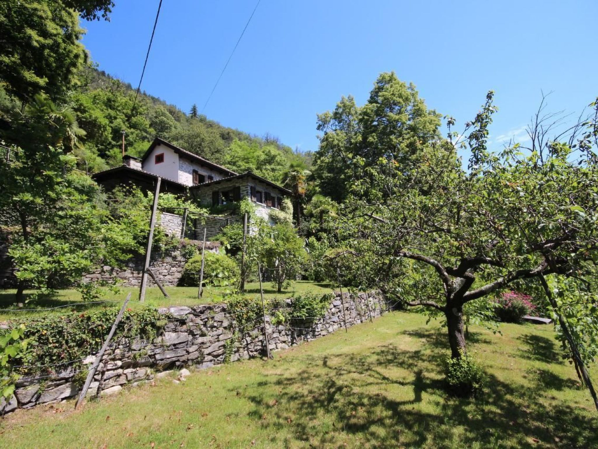 Charmantes Tessiner Haus mit absoluter Privatsphäre