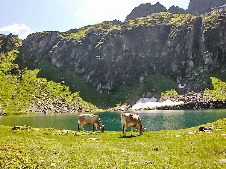 Search and Stay destination Onsernone, TI - Switzerland from AU$ 305. Strecce 2