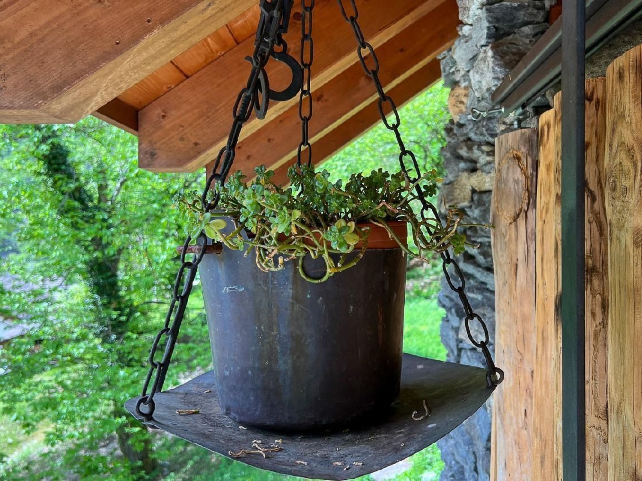 Rustico Nonno Milton-Image-tags.info