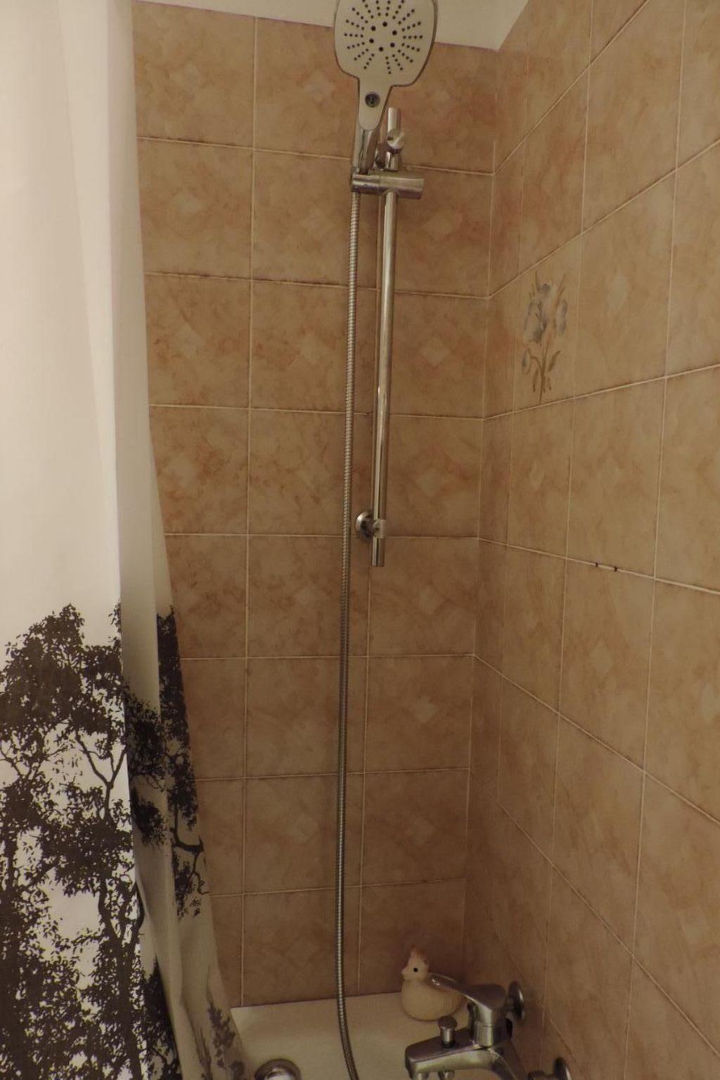 'Harmony-Image-tags.info