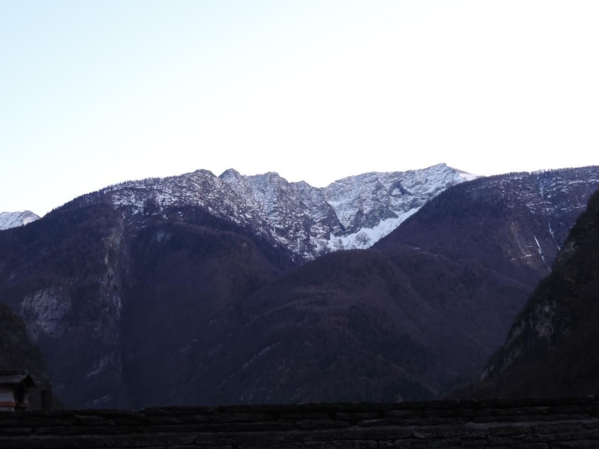 'Harmony-Image-tags.info