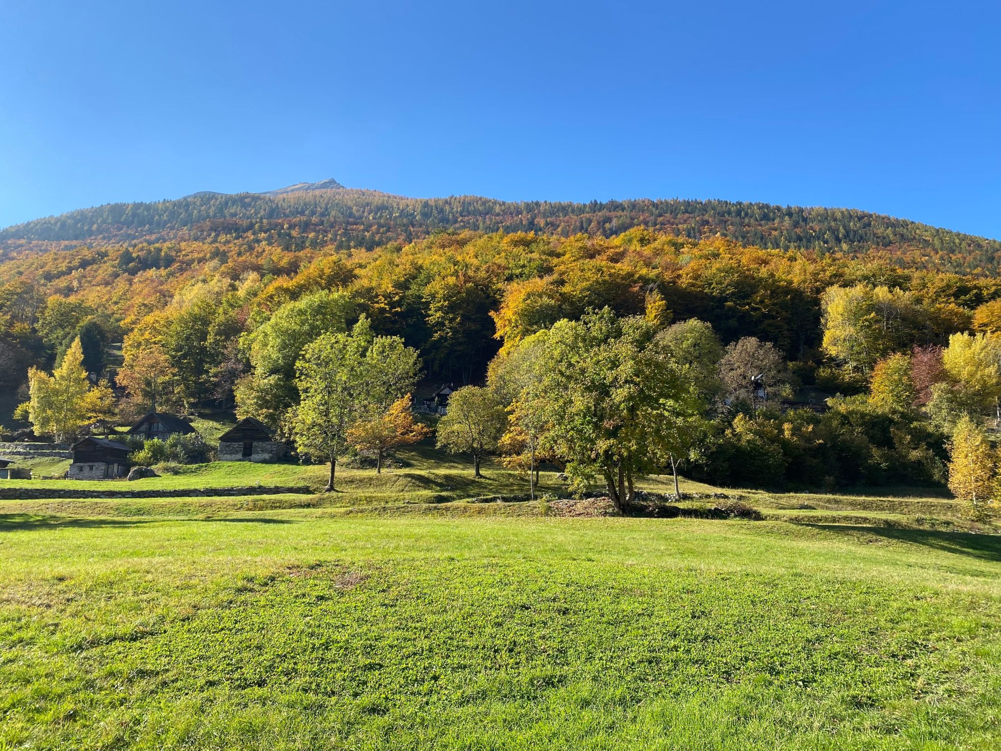 Rustico Monti di Rima-Binnen