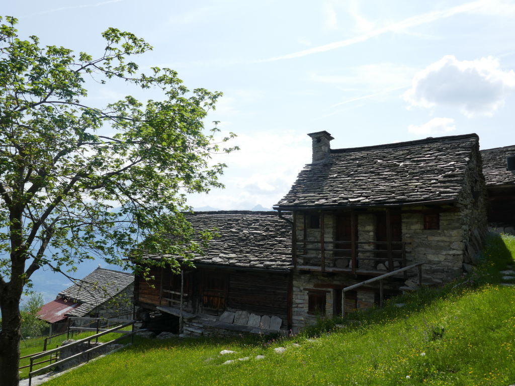 Bild 17
