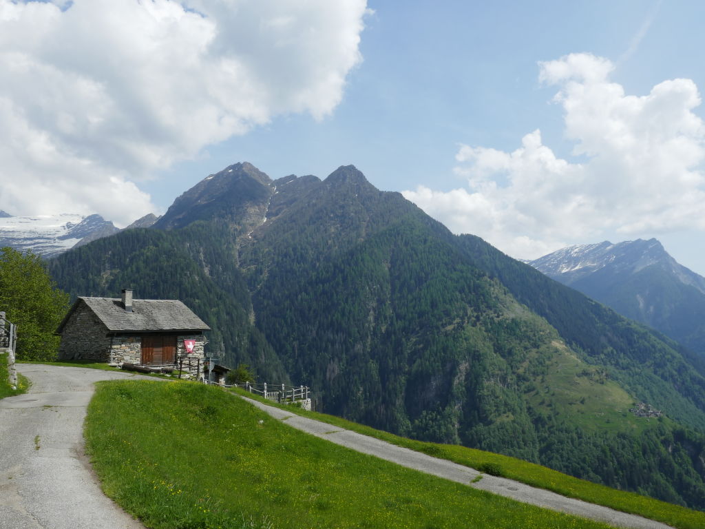 Bild 21