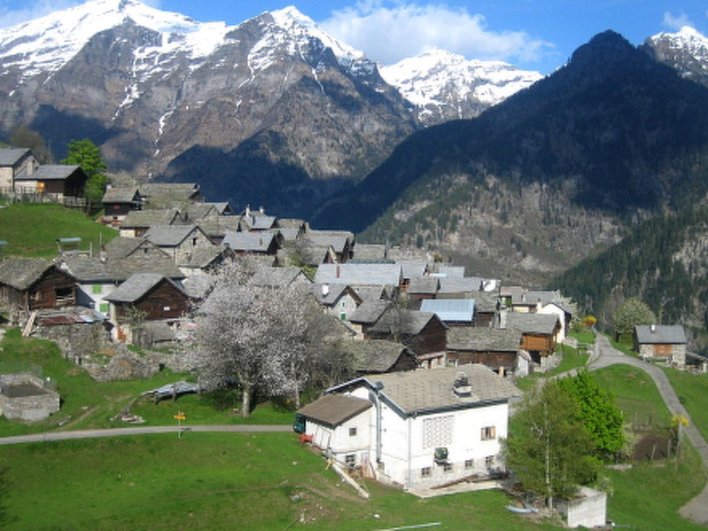 Bild 38