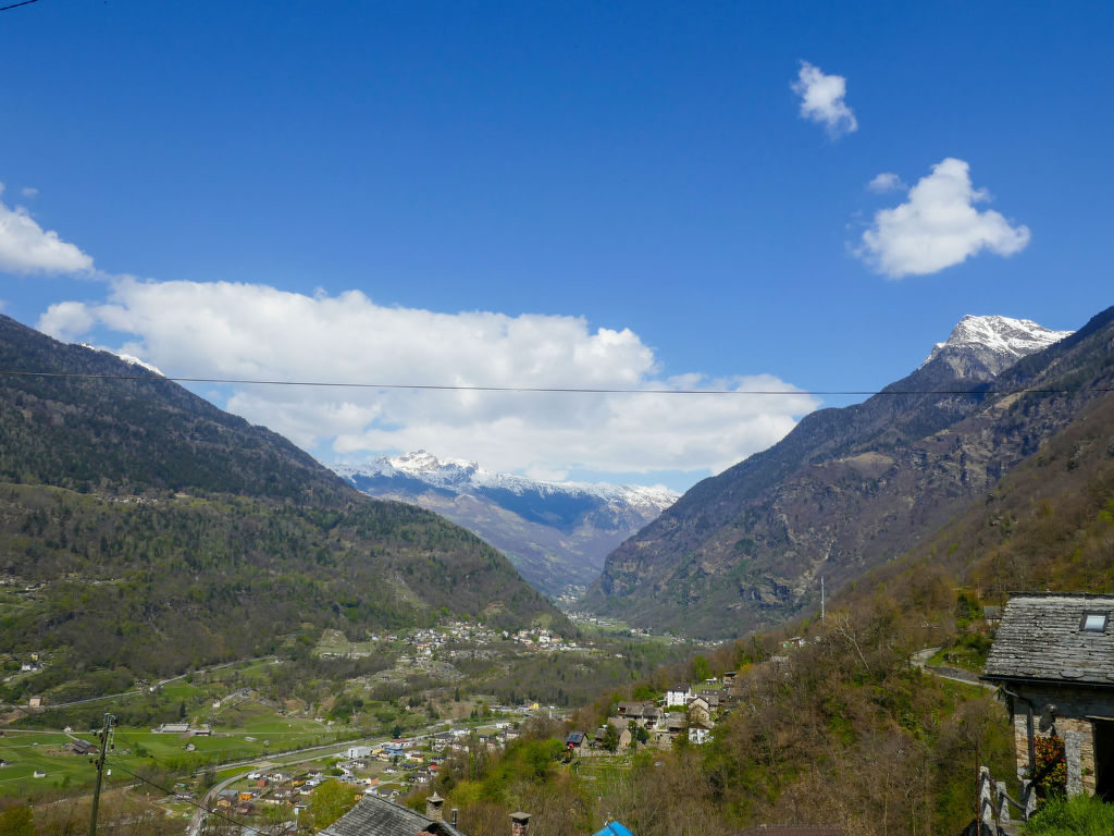 Bild 15