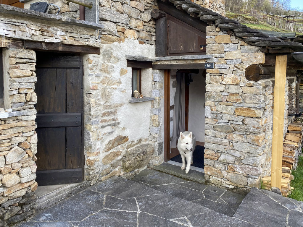 Bild 18