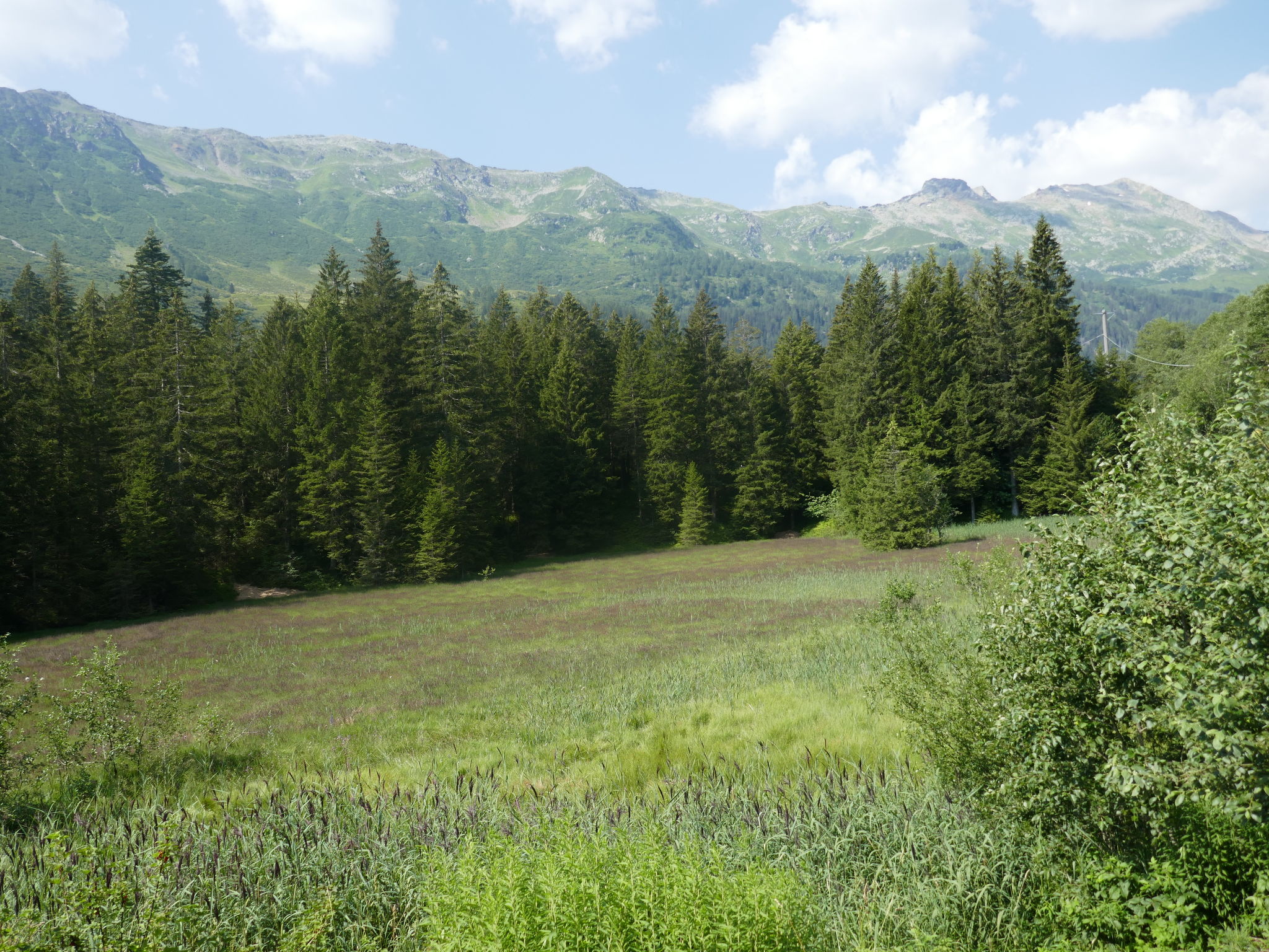 Loft Lepontica - Omgeving