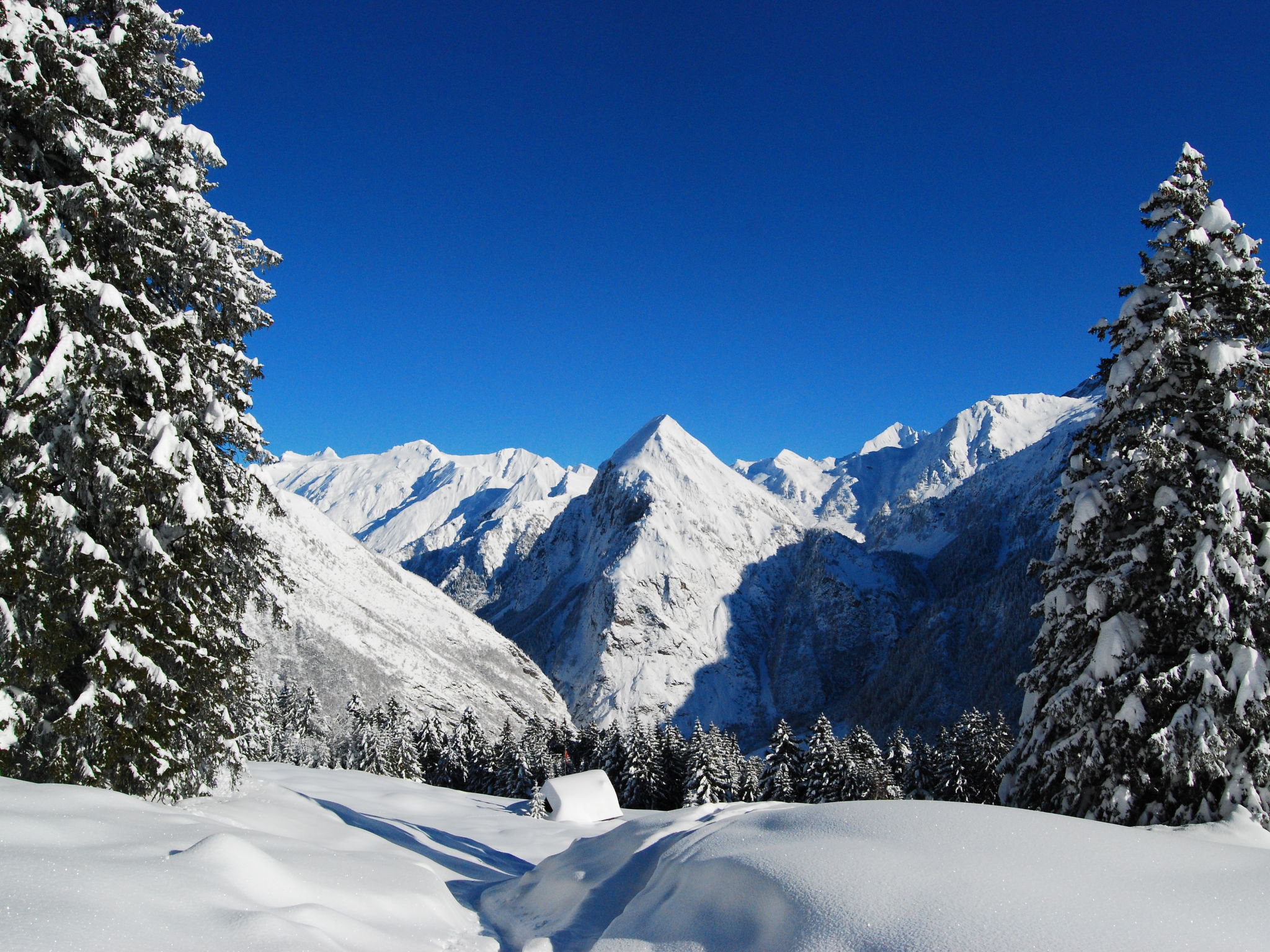 Rustico Girasole - Omgeving