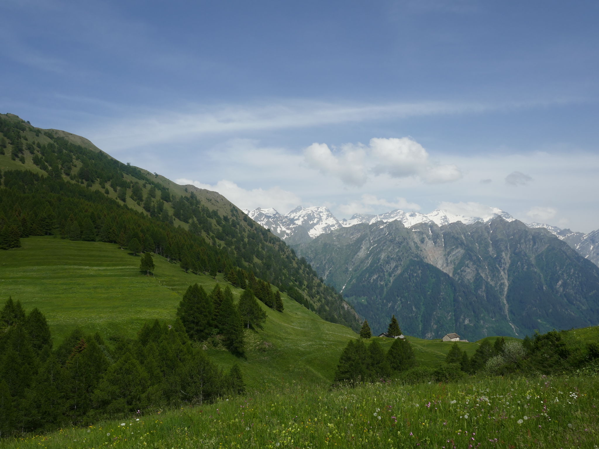 Rustico Girasole - Omgeving