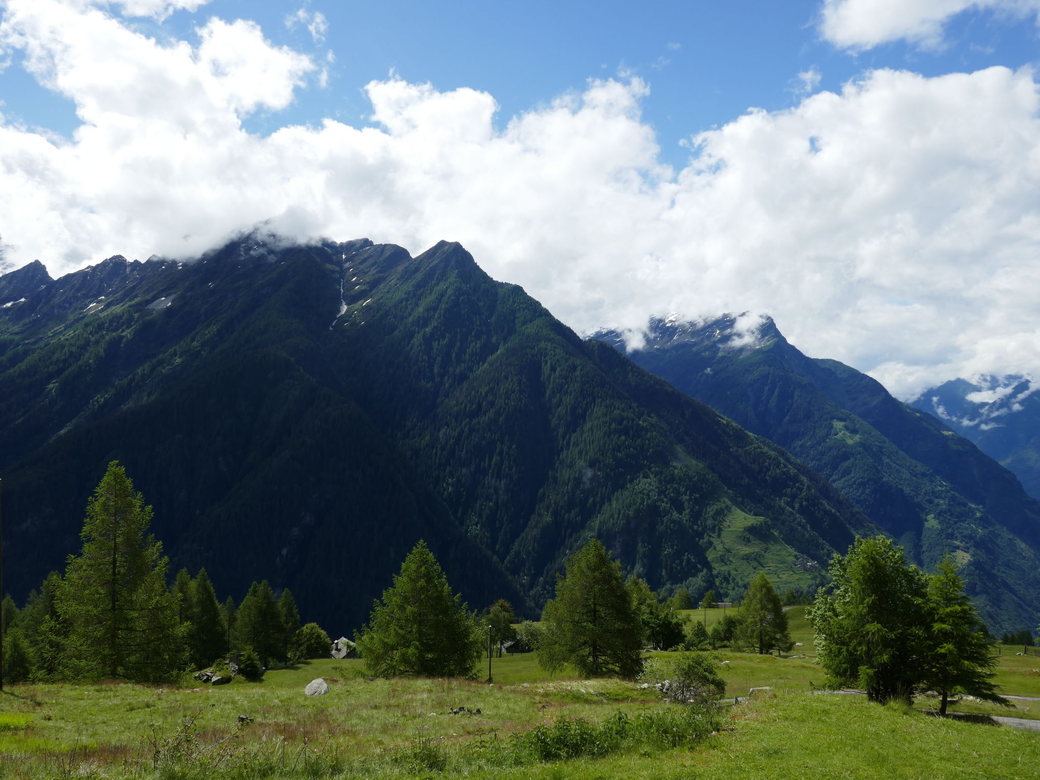 Rustico Girasole - Omgeving