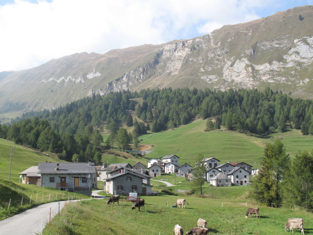 Bild 36