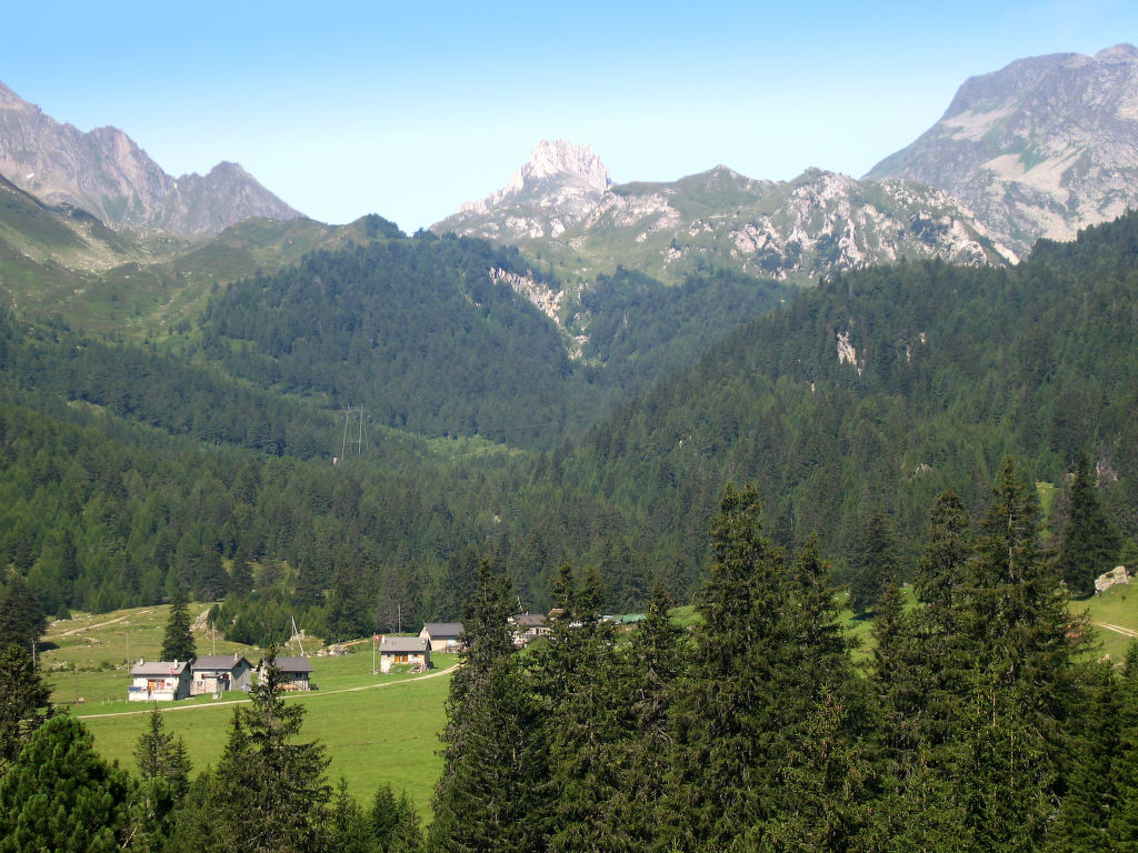 Bild 39