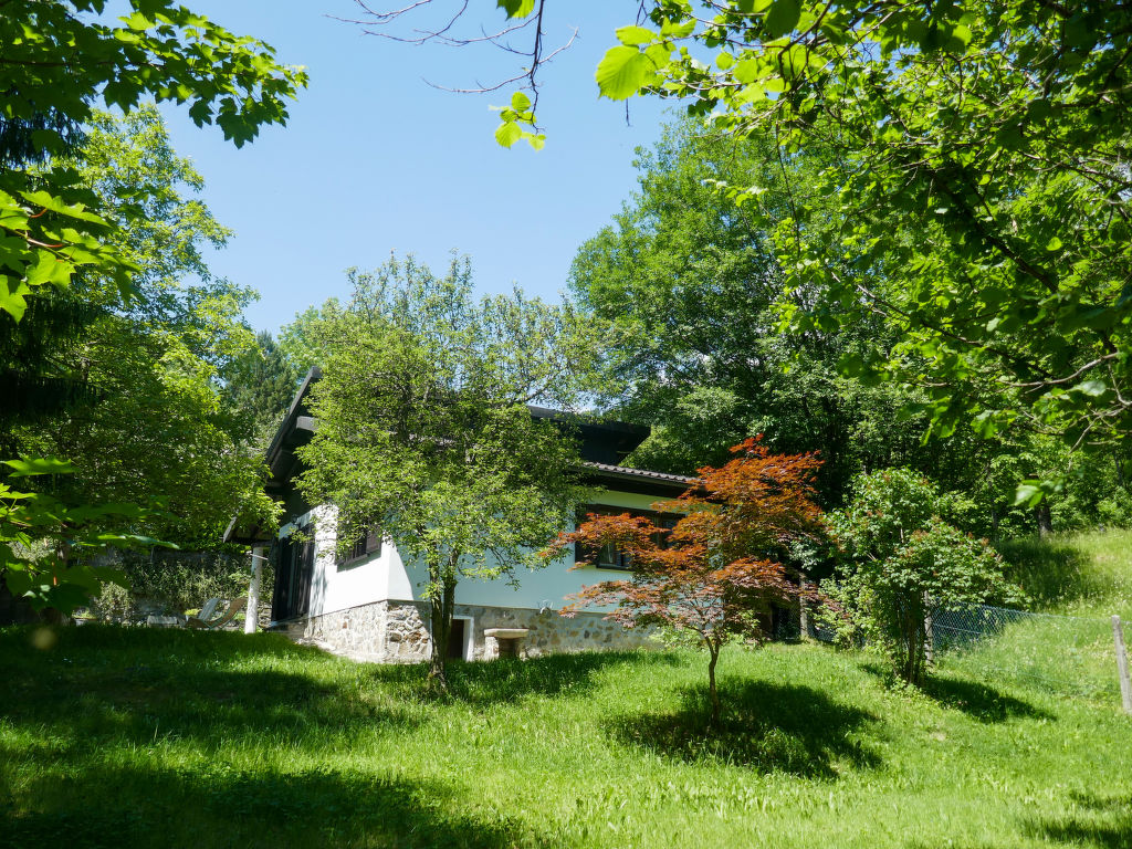 Bild 24