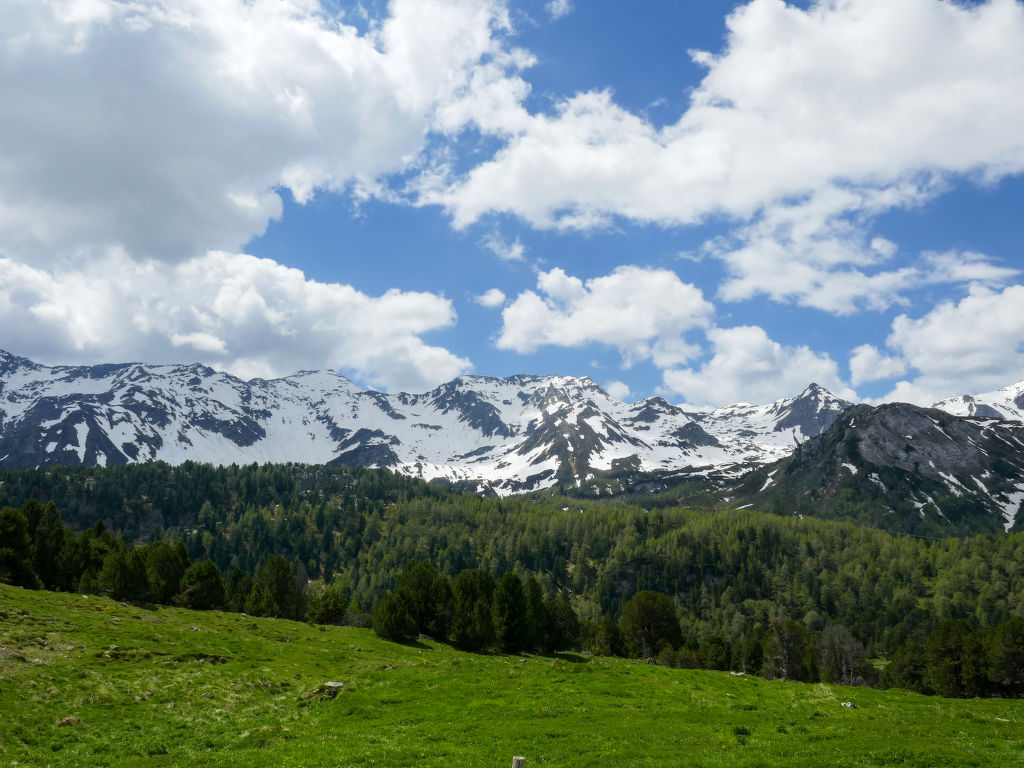 Bild 11