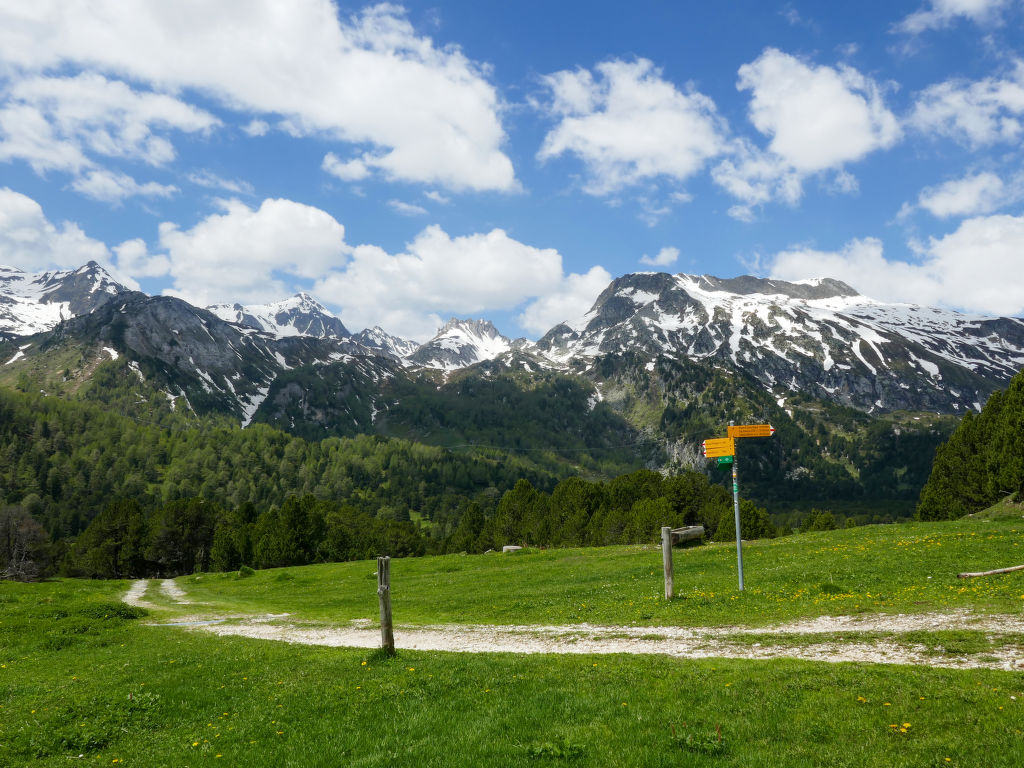 Bild 12
