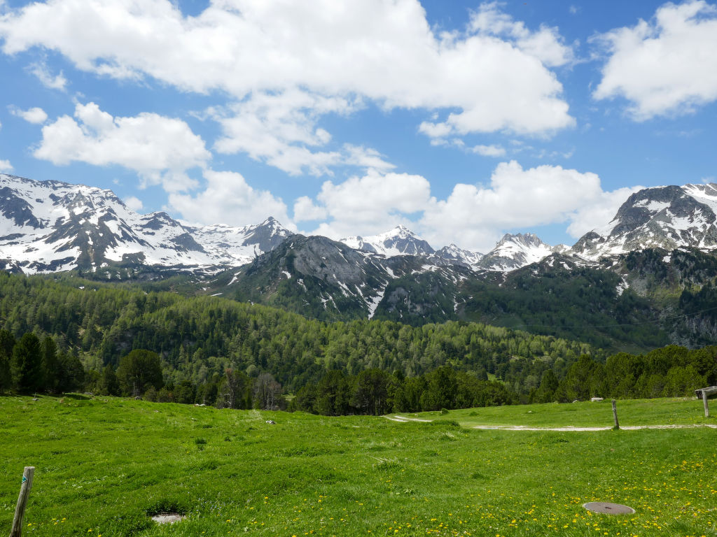 Bild 14