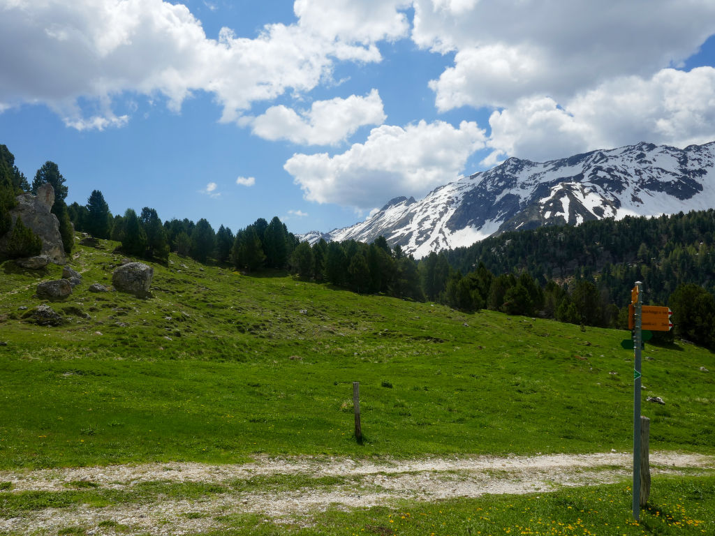 Bild 15
