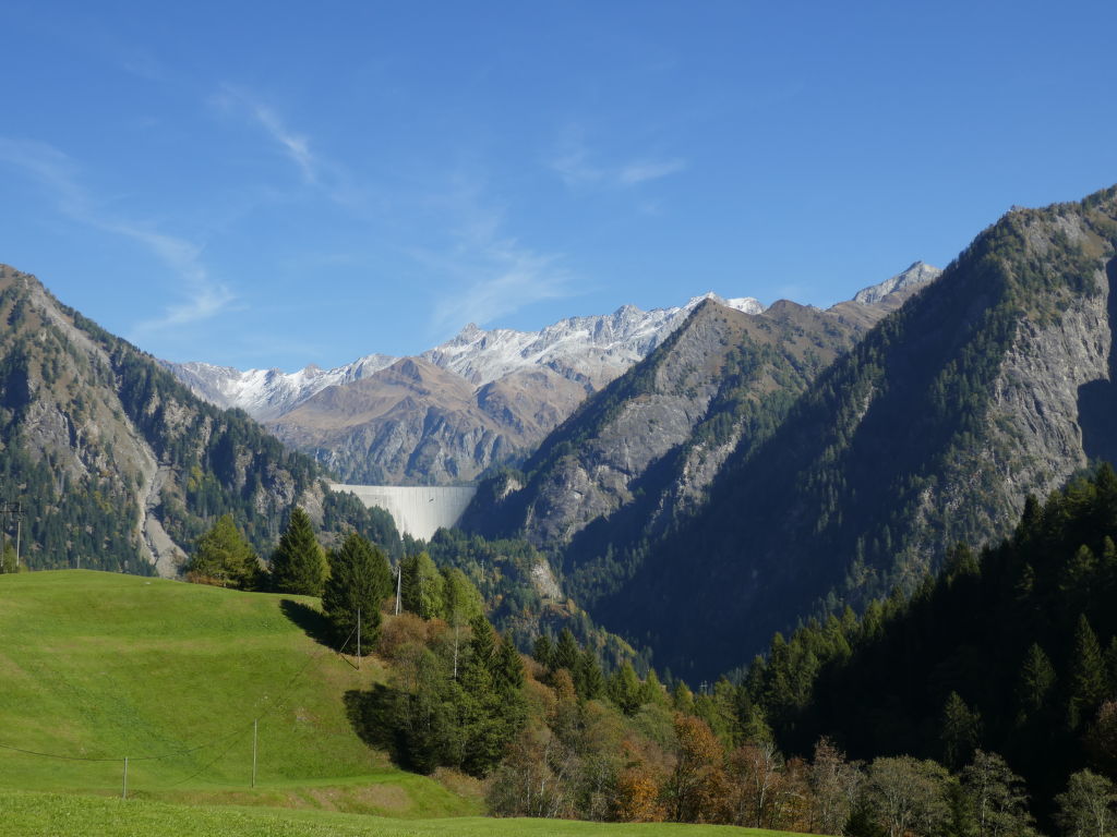 Bild 15