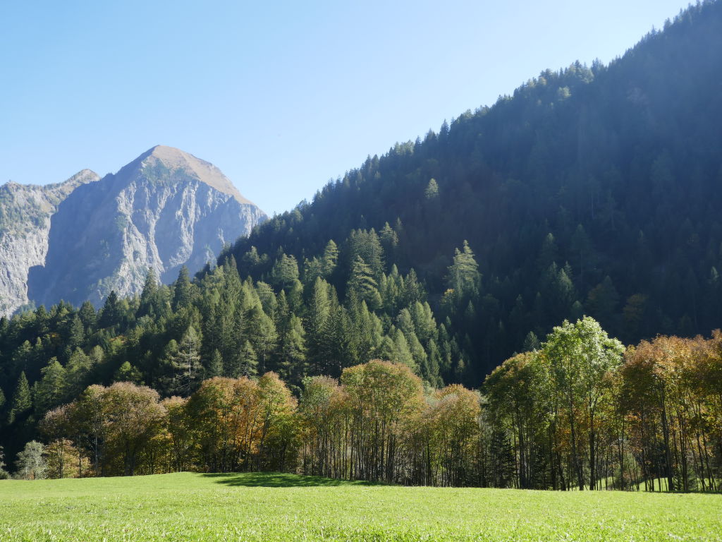 Bild 33