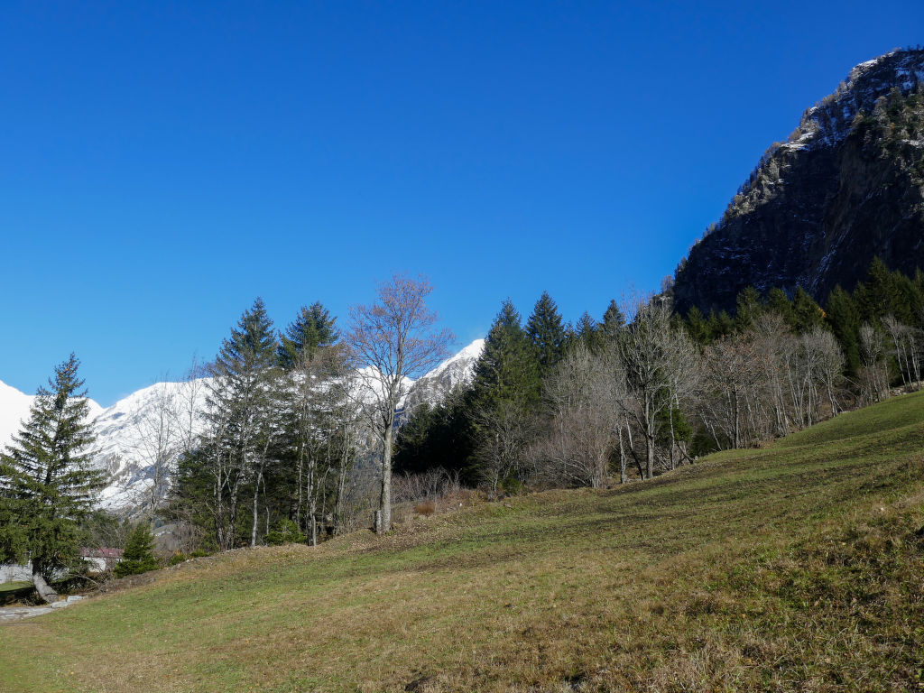 Bild 12