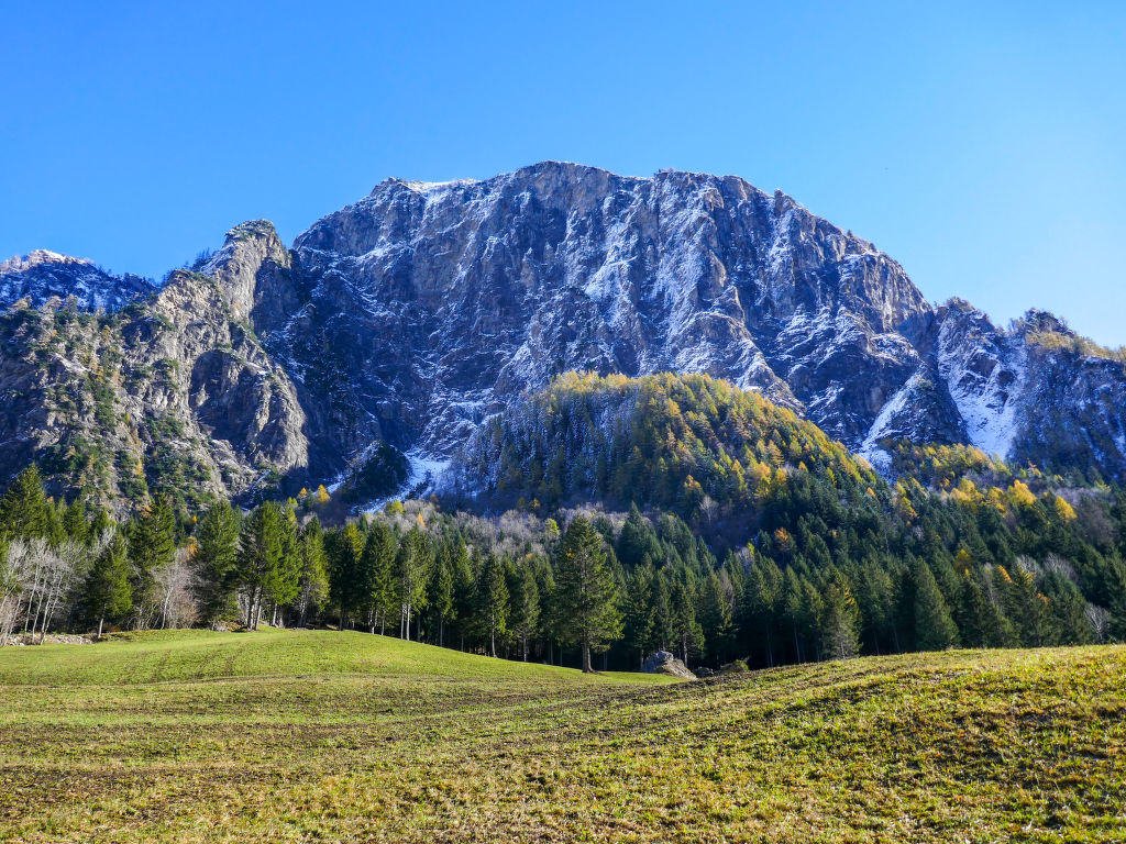 Bild 14