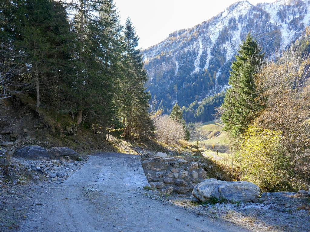 Bild 15