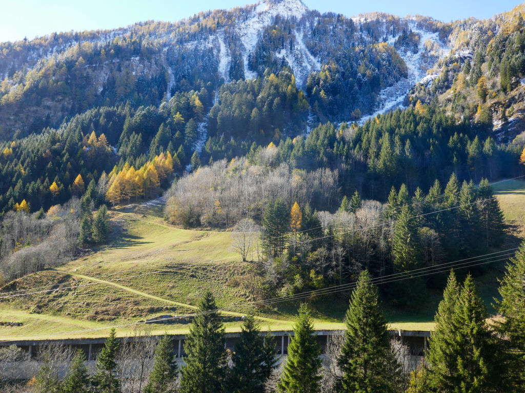Bild 19