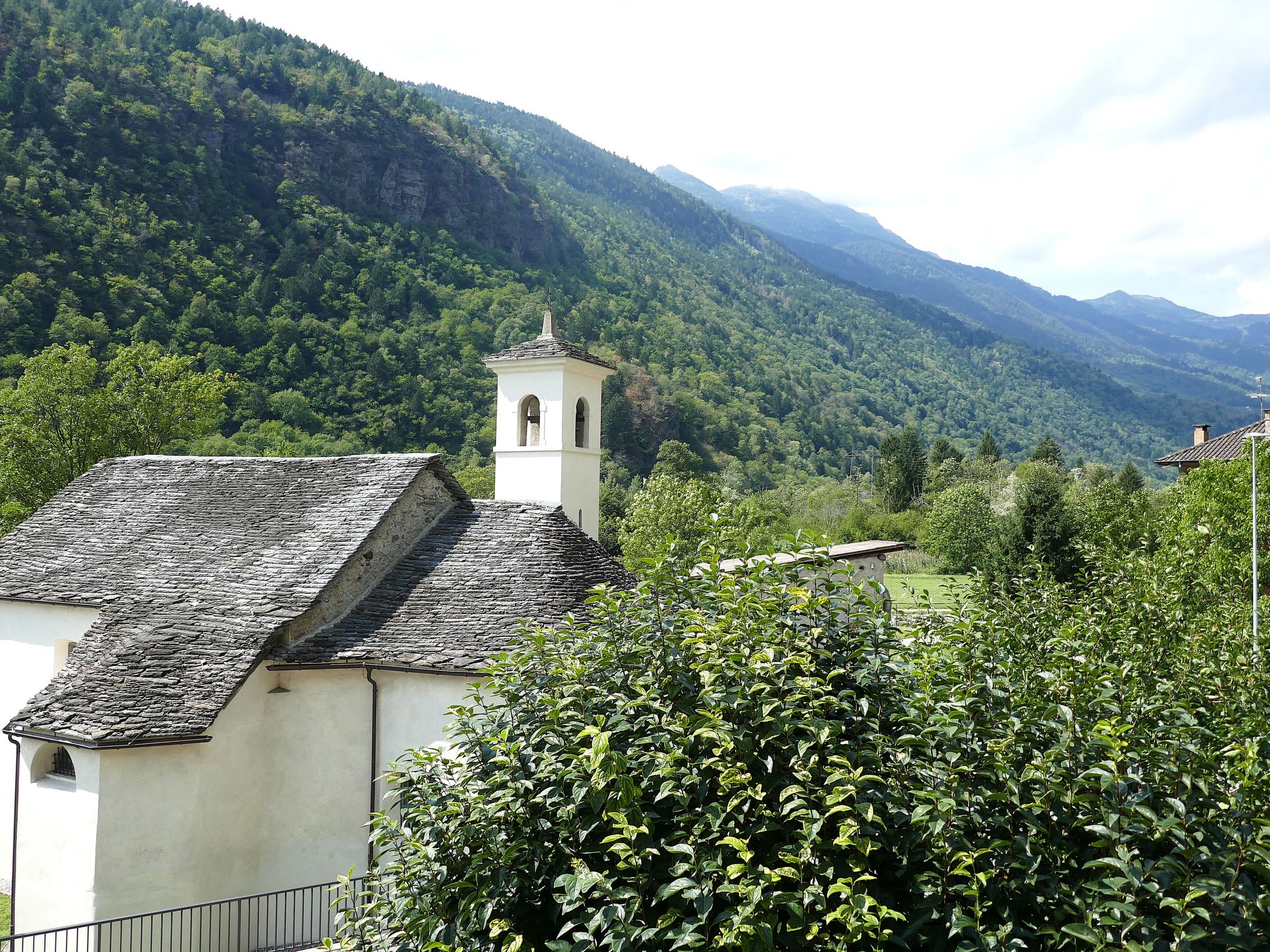 Dolfo - Dehors