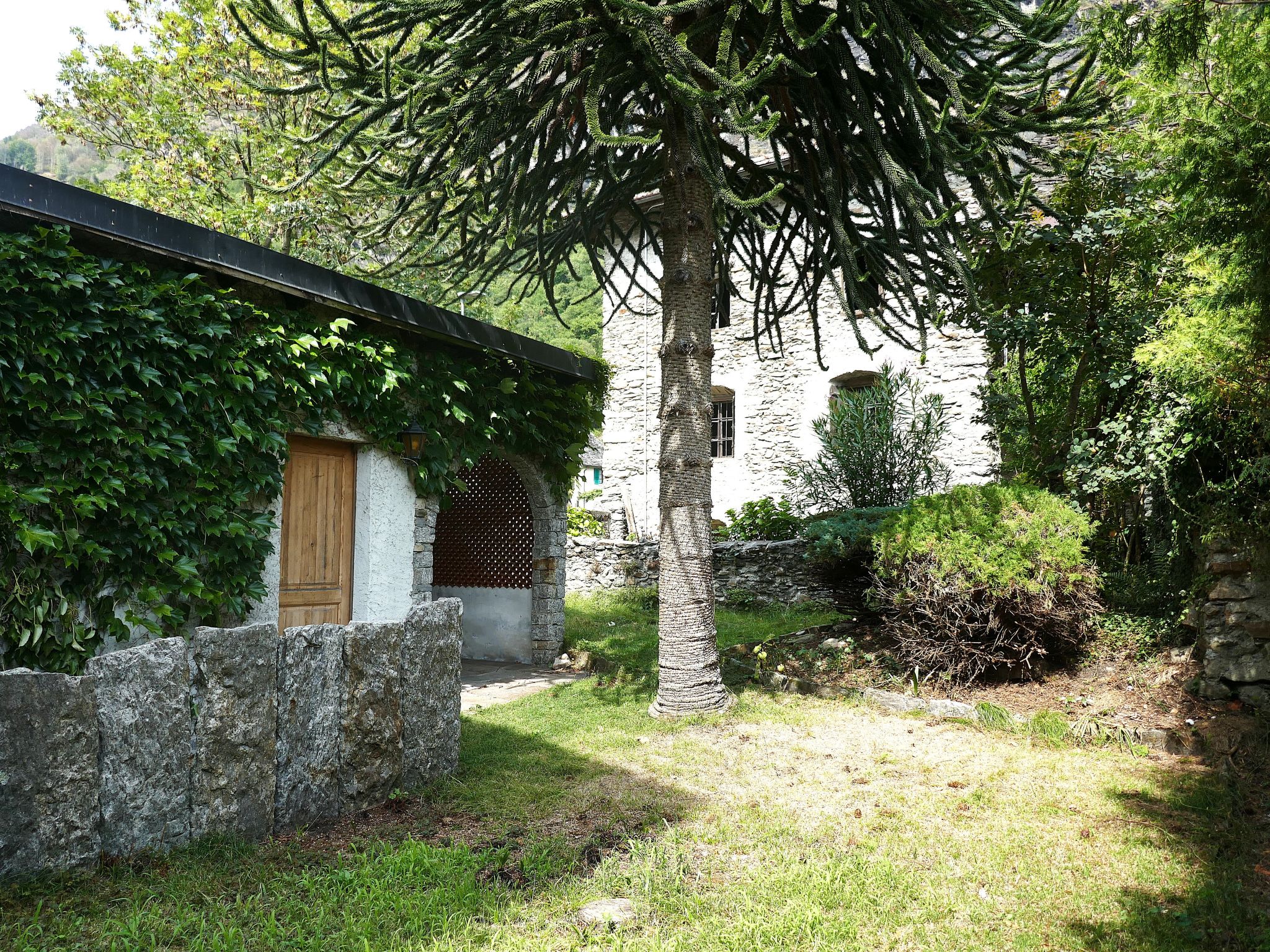 Dolfo - Dehors