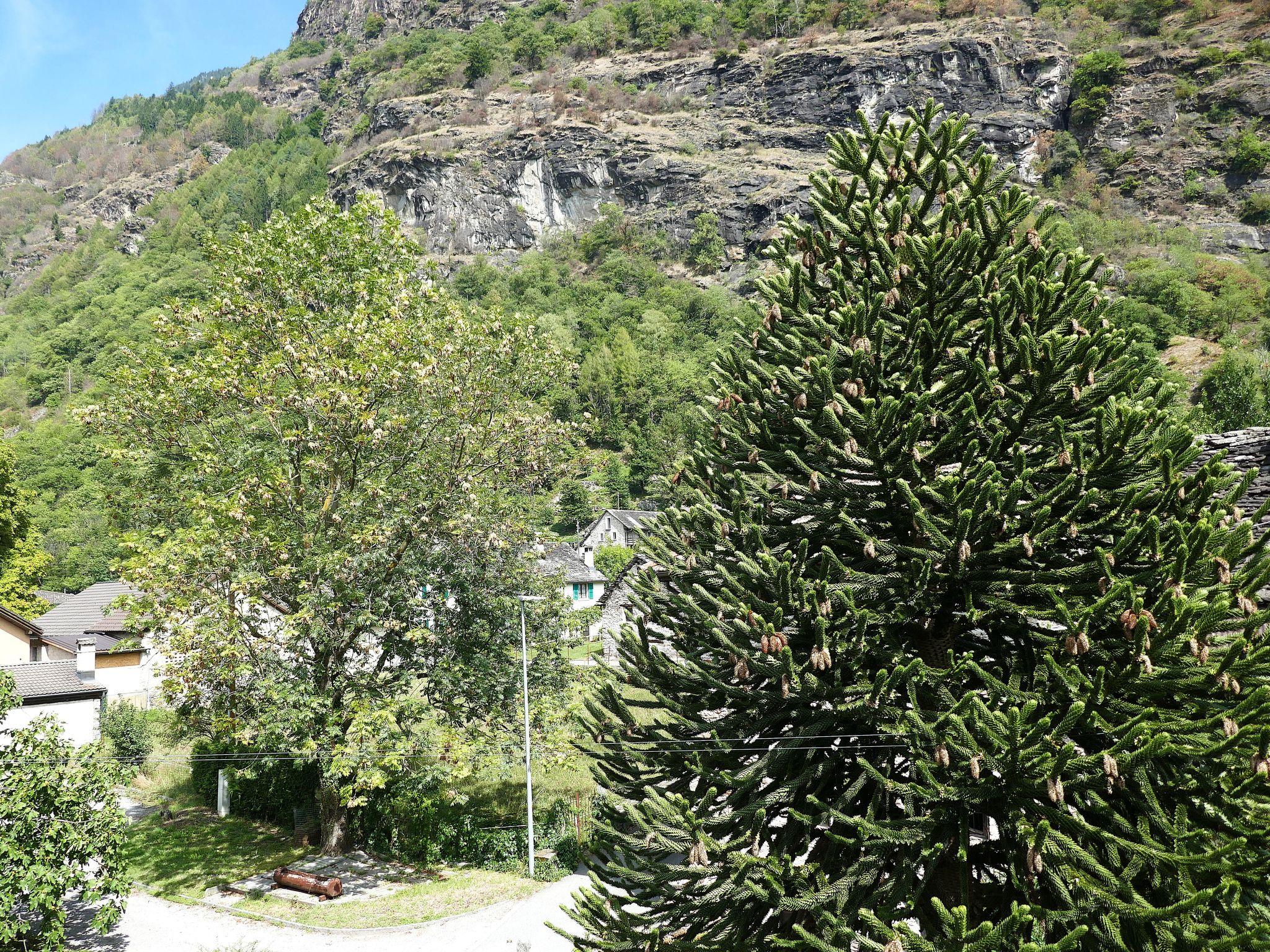 Dolfo - Dehors