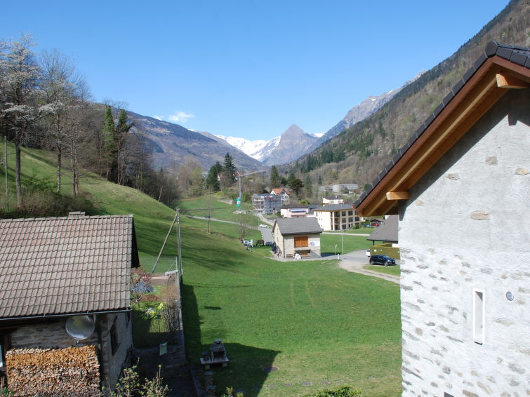 Lucertola 1150 - Slide 12