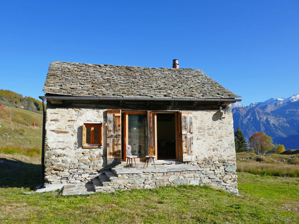 Bild 19