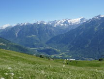 Ferienhaus Baita Ficc