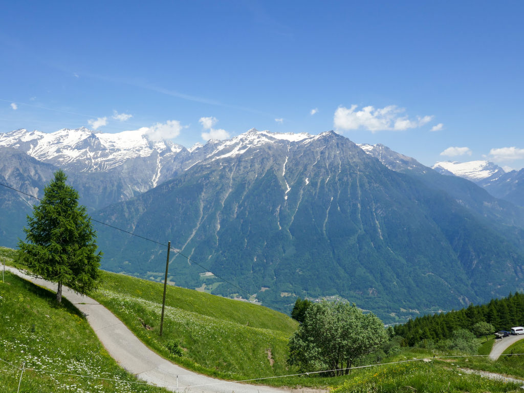 Bild 15