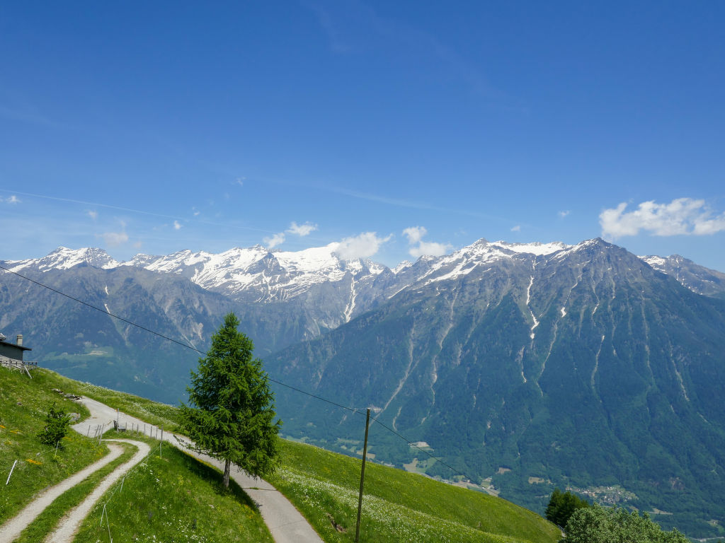 Bild 18