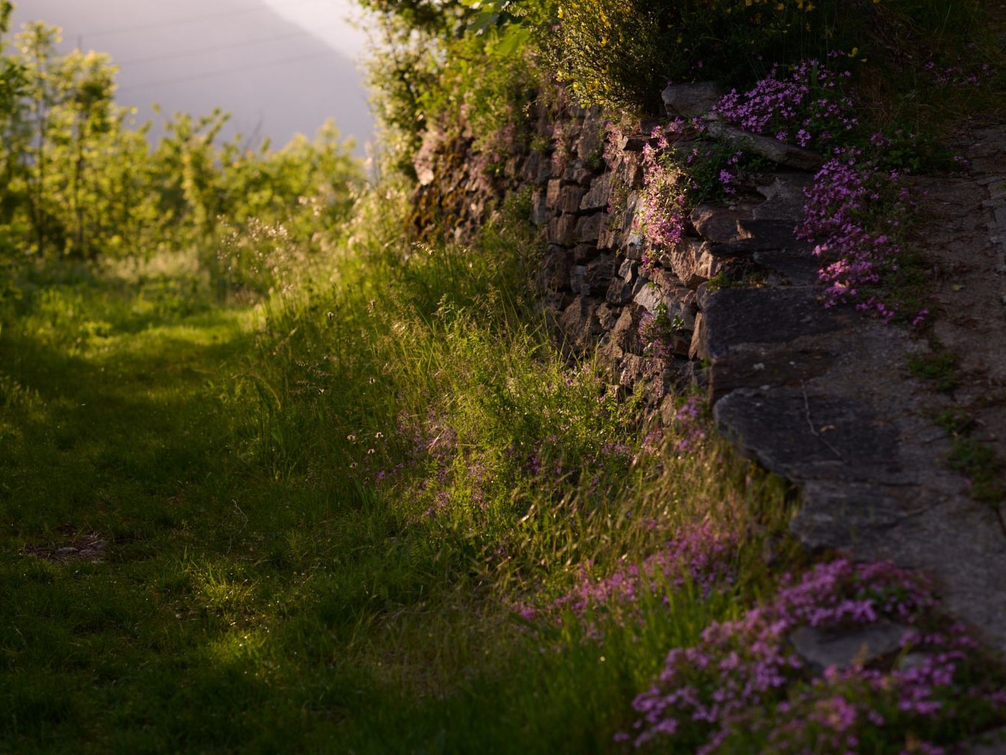 Casa Bubeck - Outside