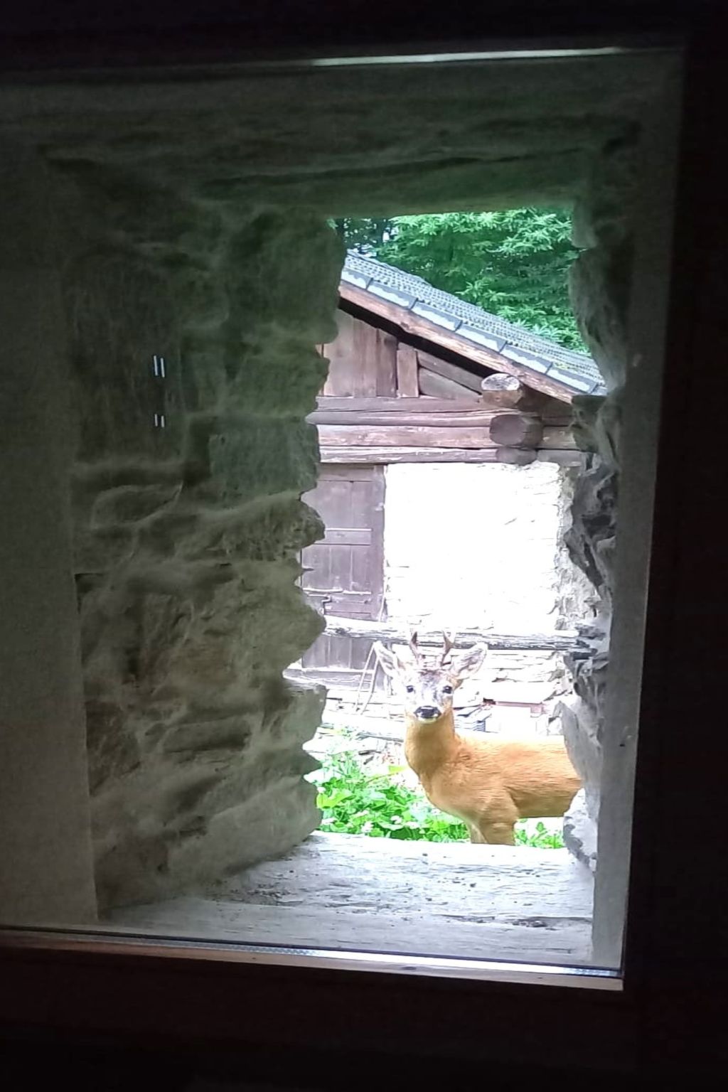 Rustico Raslina - Draußen